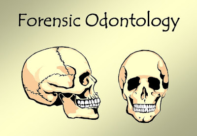 forensic odontology dental lecture paradigm unexplored