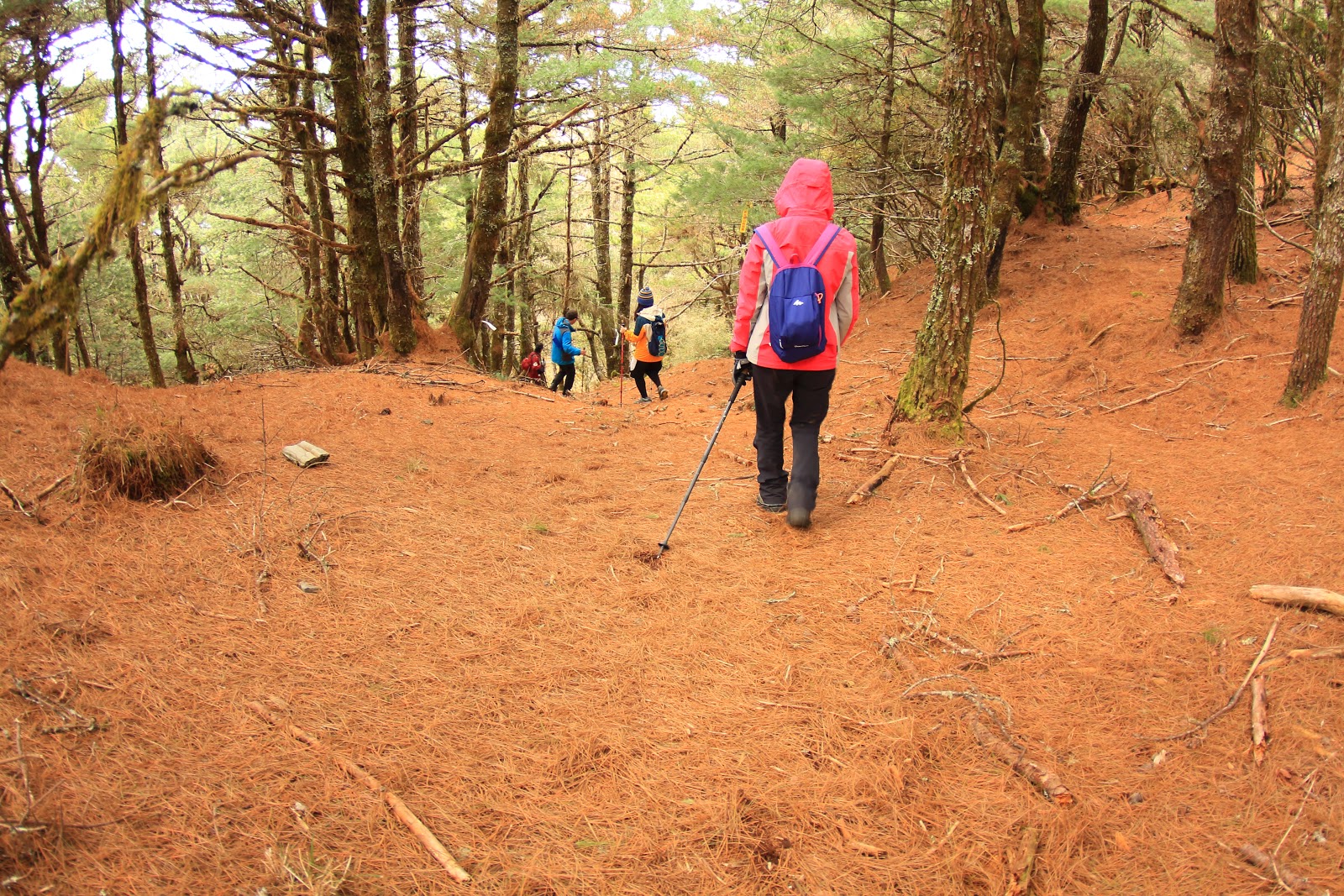布拉克桑山前的最低鞍部陡下開始