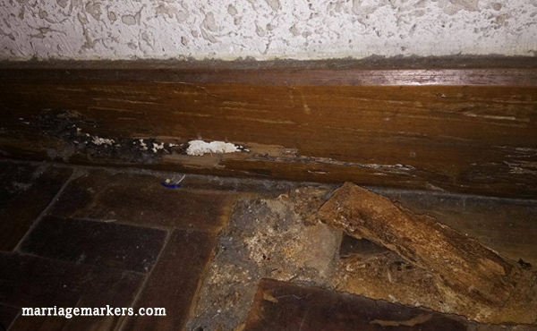 how to get rid of termites - pest control -  home - home improvement - Bacolod blogger - termite infestation - home repairs - wooden tiles - wood tiles