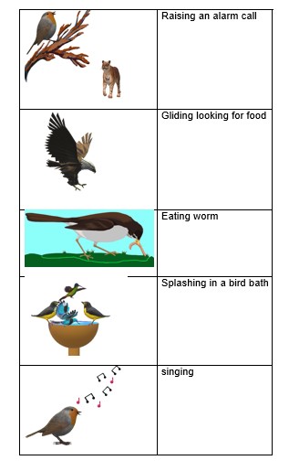 Class-3 Science, Chapter-2 Animals:Birds
