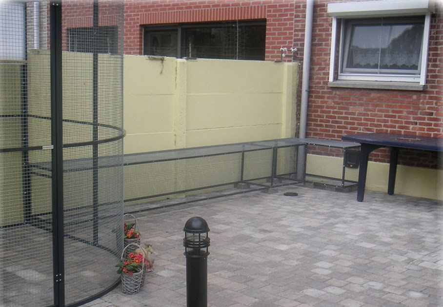 Katzennetz NRW die Adresse für ein Katzennetz: Freigehege für Katzen