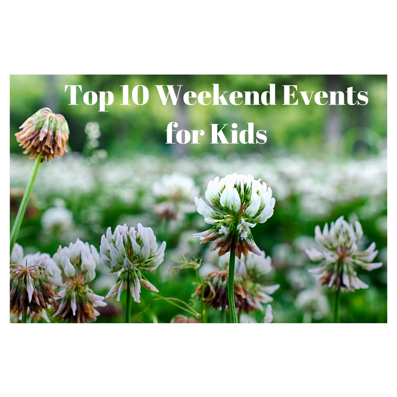 Fun Things To Do With Kids In Chester County Top 10 Weekend Events For