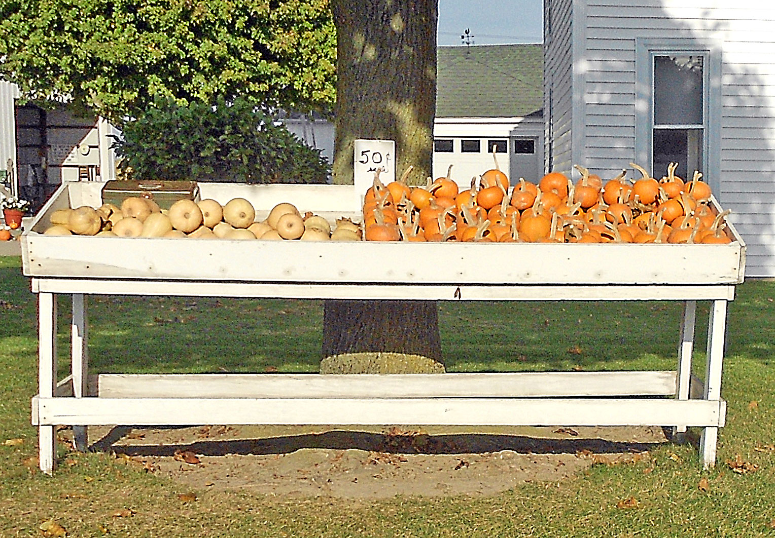 behind-the-bites-italian-style-spaghetti-squash