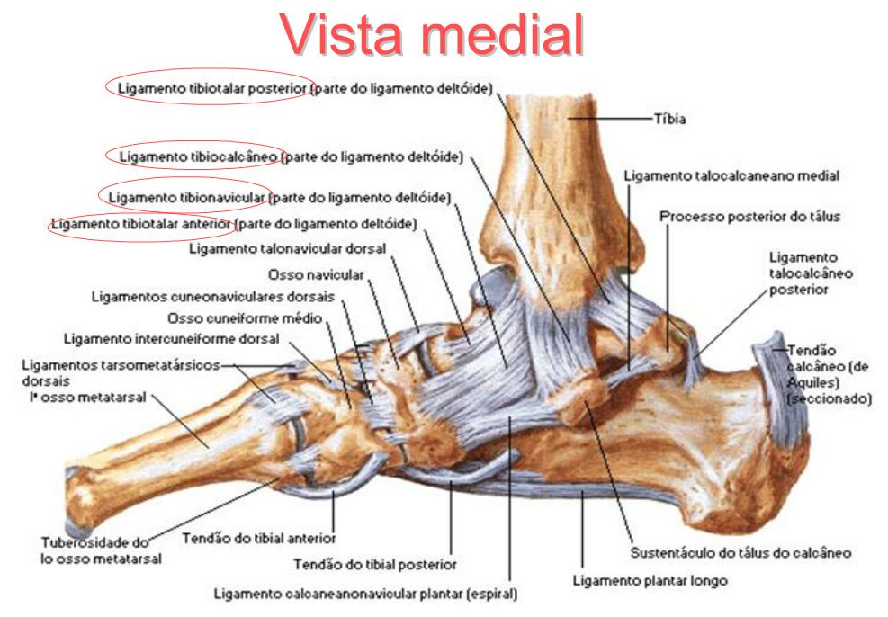 Fisioterapia