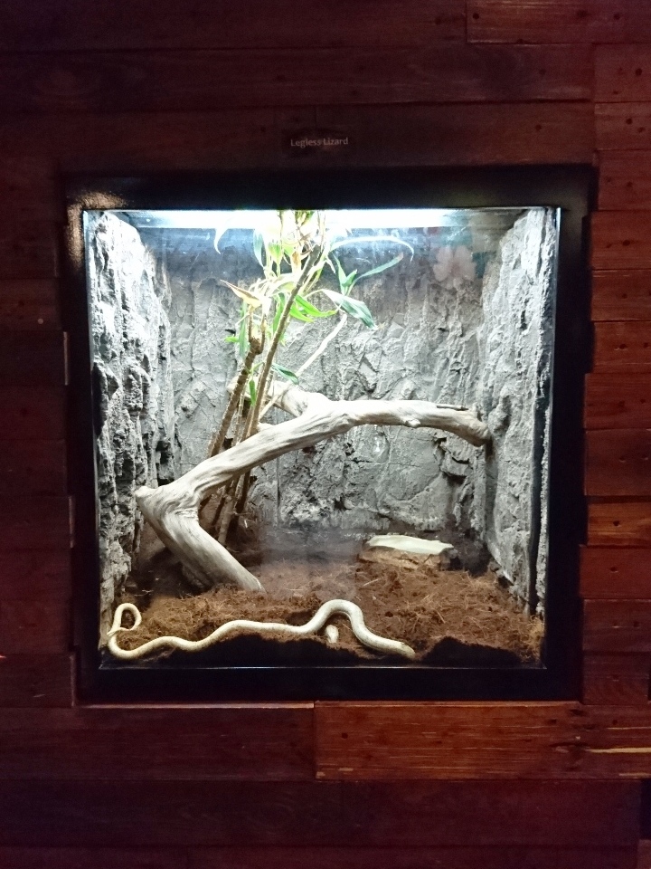 Juan Trip At A Time Manila Ocean Park Uncovering the World of Creepy