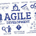 Agile or not Agile, that is the question...