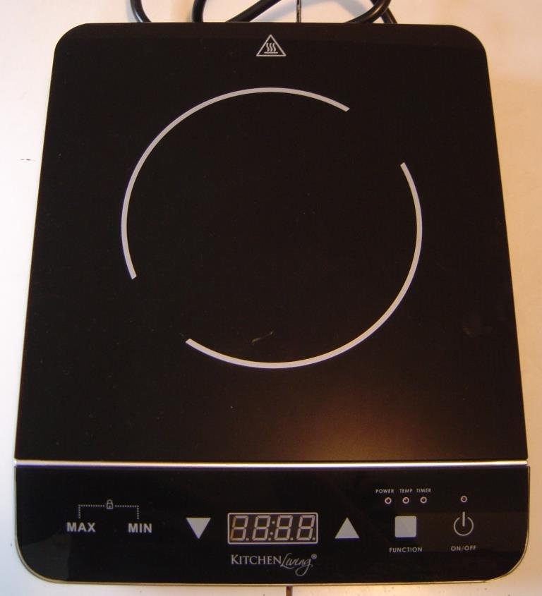 Check Out My First Experience Cooking on Induction With an Inexpensive