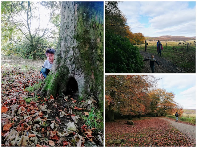 Longshaw Estate walks
