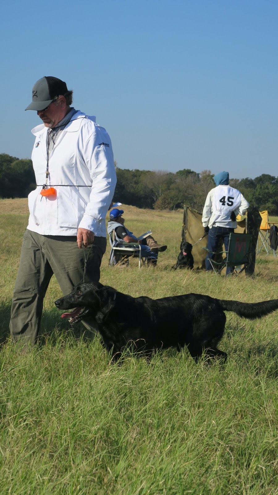 2016 NRC 42. FC Magic Trick's Zuma, "Zuma", LM, Greg Bartlett