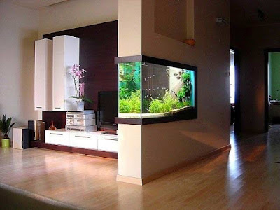 How to make wall aquarium and wall fish tank DIY, wall mounted aquarium wall aquarium Diy, wall fish tank, wall mounted aquarium