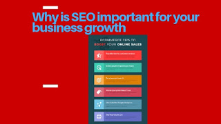 Why is SEO important for your business growth