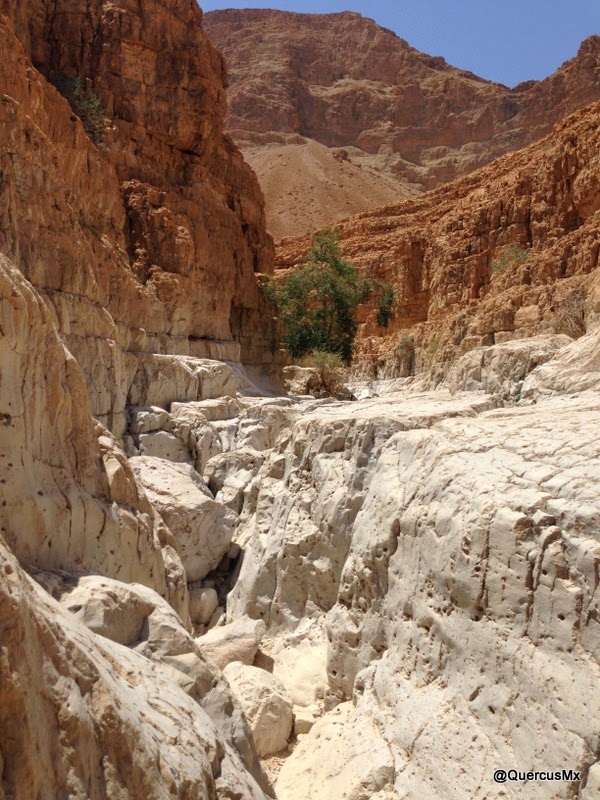 ¿Se pueden imaginar esta parte del cañón seco de Wadi David con agua?