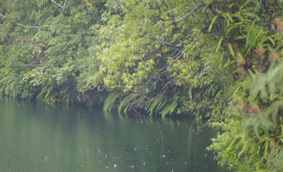 Danau Ranamese Manggarai Timur Danau Ranamese Manggarai Timur