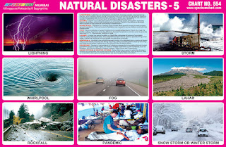 Natural Disasters Chart