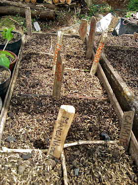 seed beds