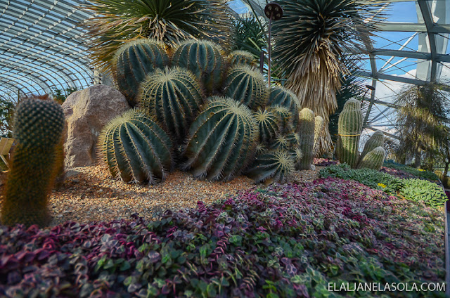 Singapore | Gardens by the Bay