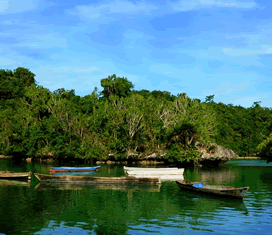 Pulau Muna