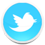 twitter icono twitter icono