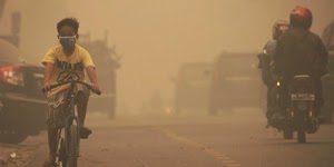 Petisi: Pak Jokowi, blusukan asap ke hutan gambut kami di Riau