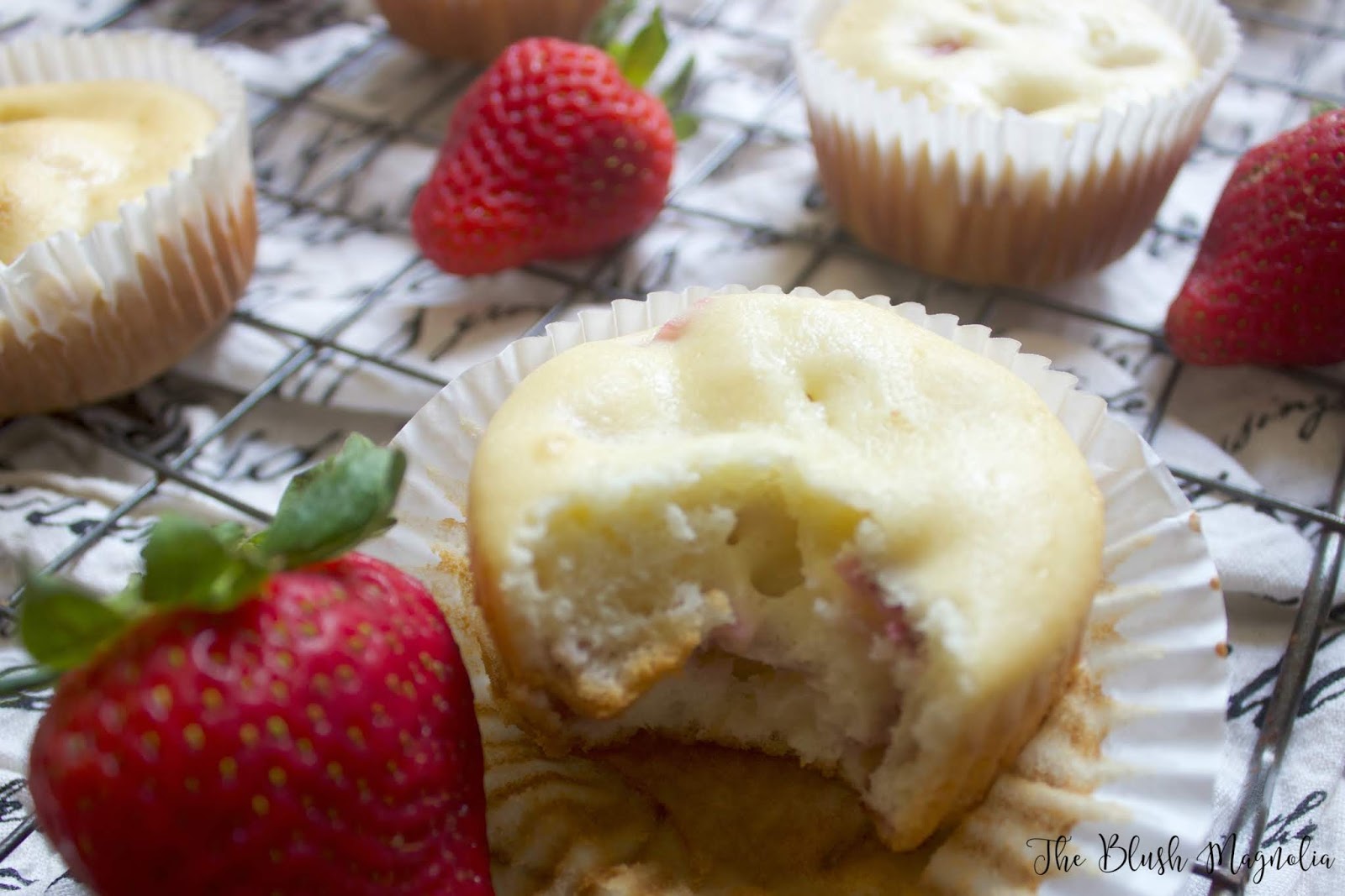 Strawberry Greek Yogurt Muffins The Blush Magnolia