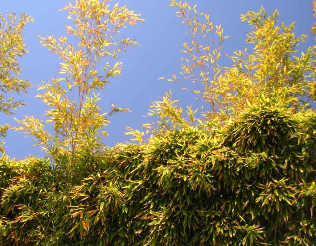 Photo Essays Toxic Urban Landscapes Air Pollution Climate Change