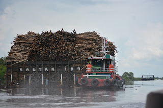 pabrik kertas di sungai baung