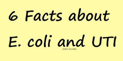 6 Facts about E. coli and UTI