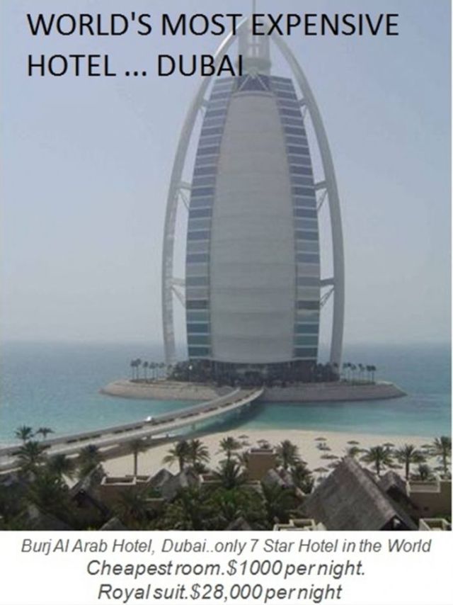 Noel Stephen: World's Biggest