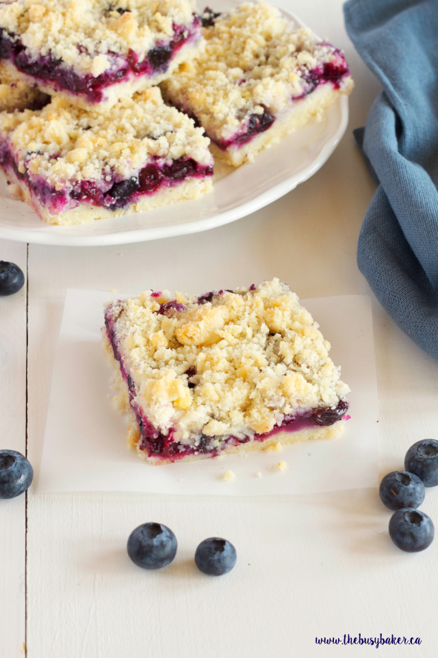 These Blueberry Crumb Bars are the perfect sweet snack! Recipe from www.thebusybaker.ca! These Best Ever Blueberry Crumb Bars are the perfect sweet snack! Recipe from www.thebusybaker.ca!