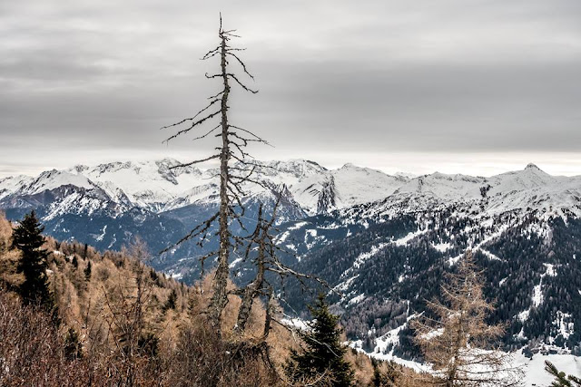 Obernberg Wipptal Trunajoch MTB