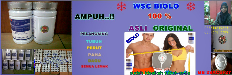 Pelangsing WSC BIOLO Asli Original import