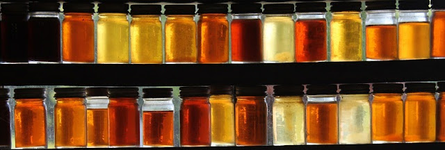 Γευσιγνωσία μελιού Honey tasting