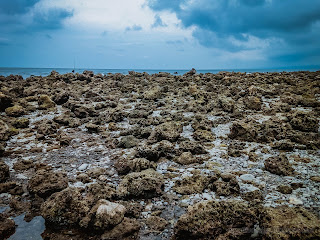 Wide Stretch Of Rocky Coral Reefs At Coastline At Umeanyar Village, North Bali, Indonesia