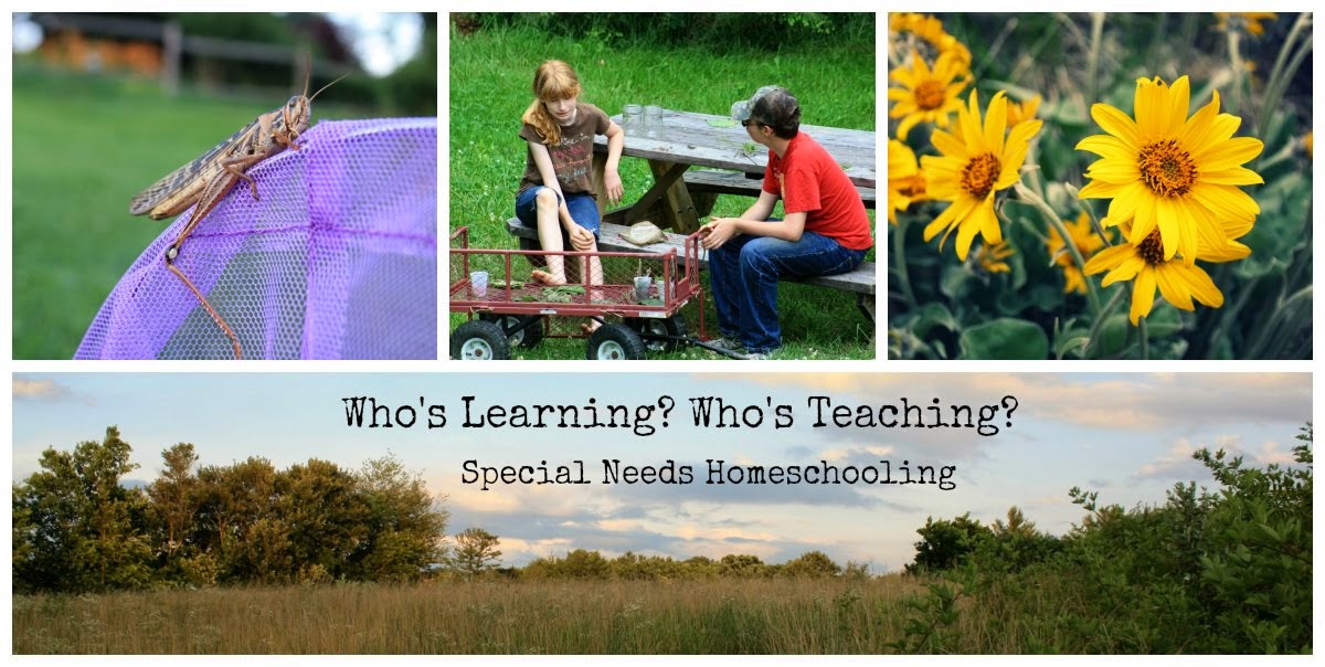          Who's learning? Who's teaching?