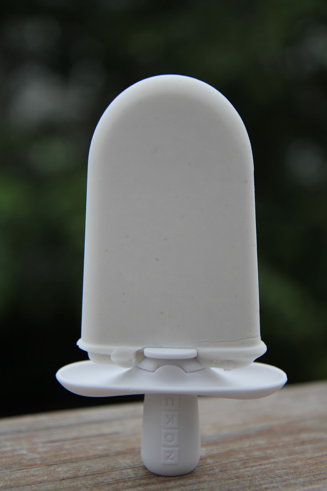 Gluten-free Home: Coconut Ice Cream