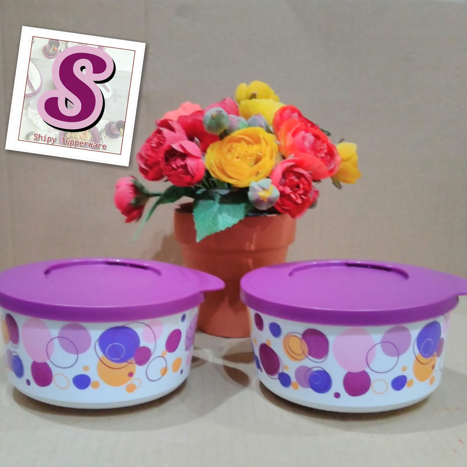 Unit Shipy by Tupperware ILLUMINA BOWL ACTIVITY MEI 2015