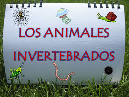  GRUPOS DE ANIMALES INVERTEBRADOS 4º