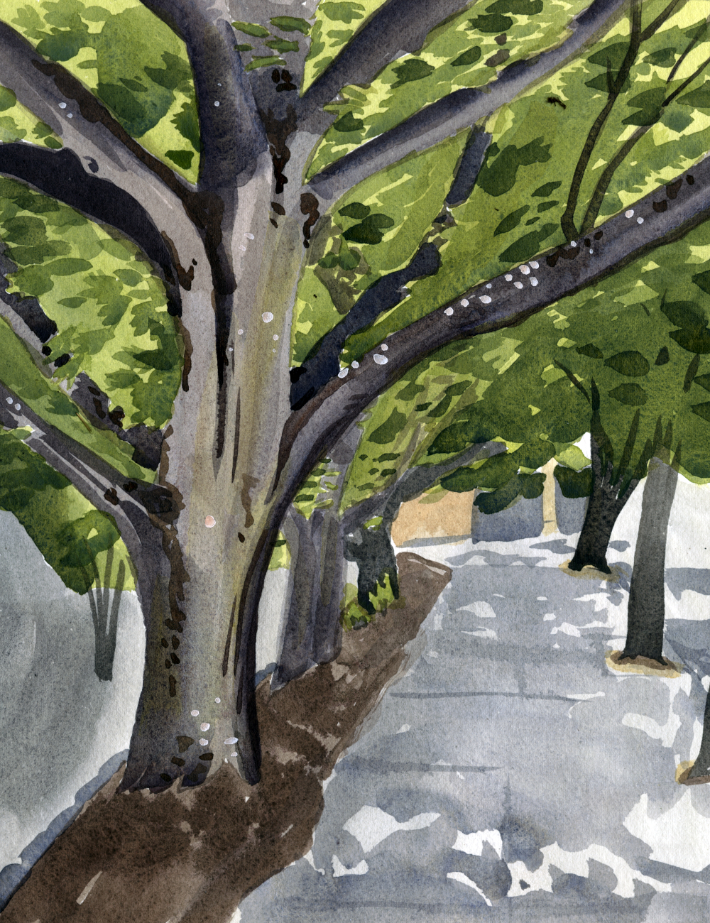 Painting To Save The Trees Alexandra Schaefers