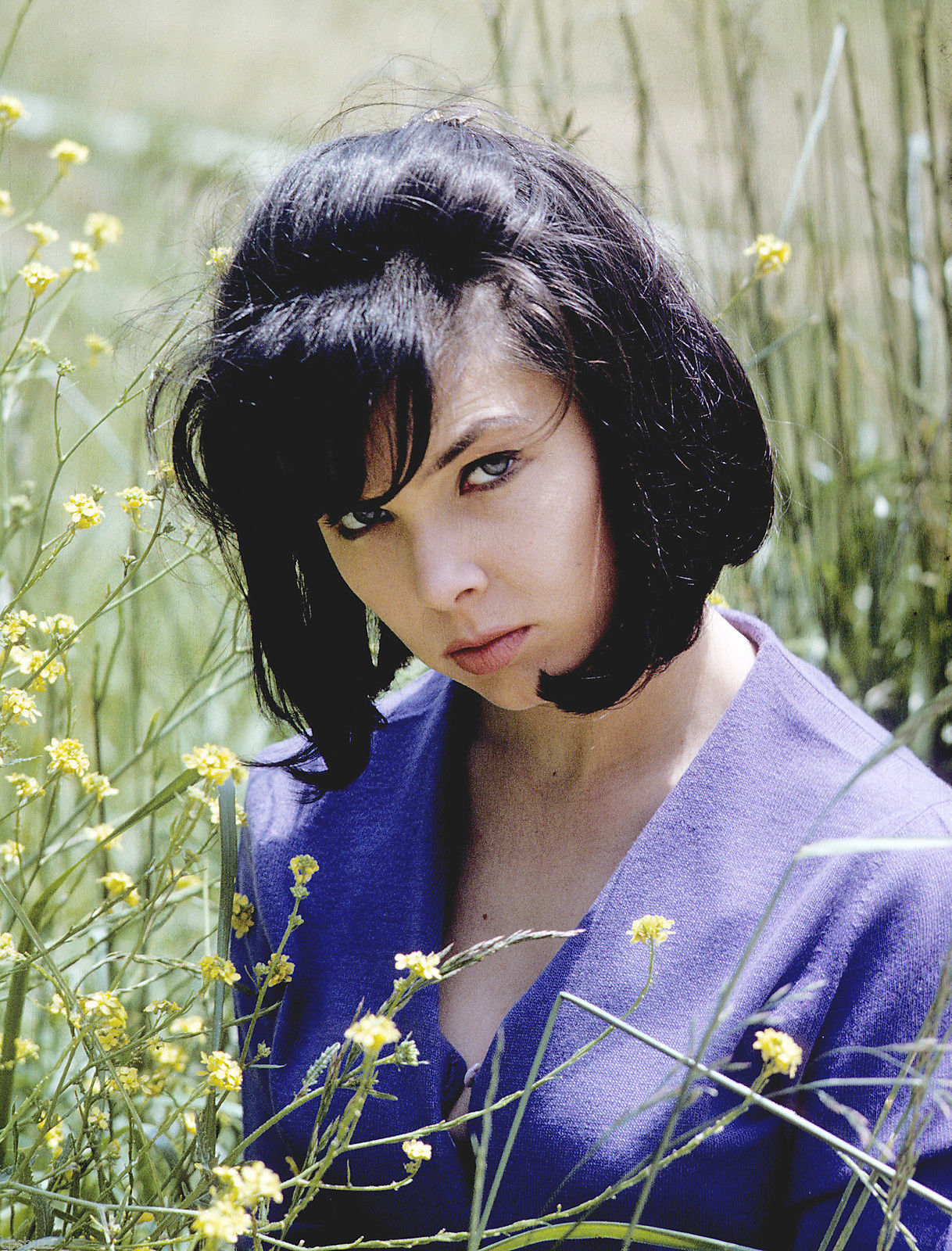 Slice of Cheesecake: Yvonne Craig, pictorial
