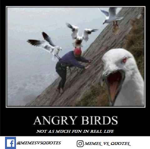 Get 100 S Of Best Mad Memes Angry Memes Laughable