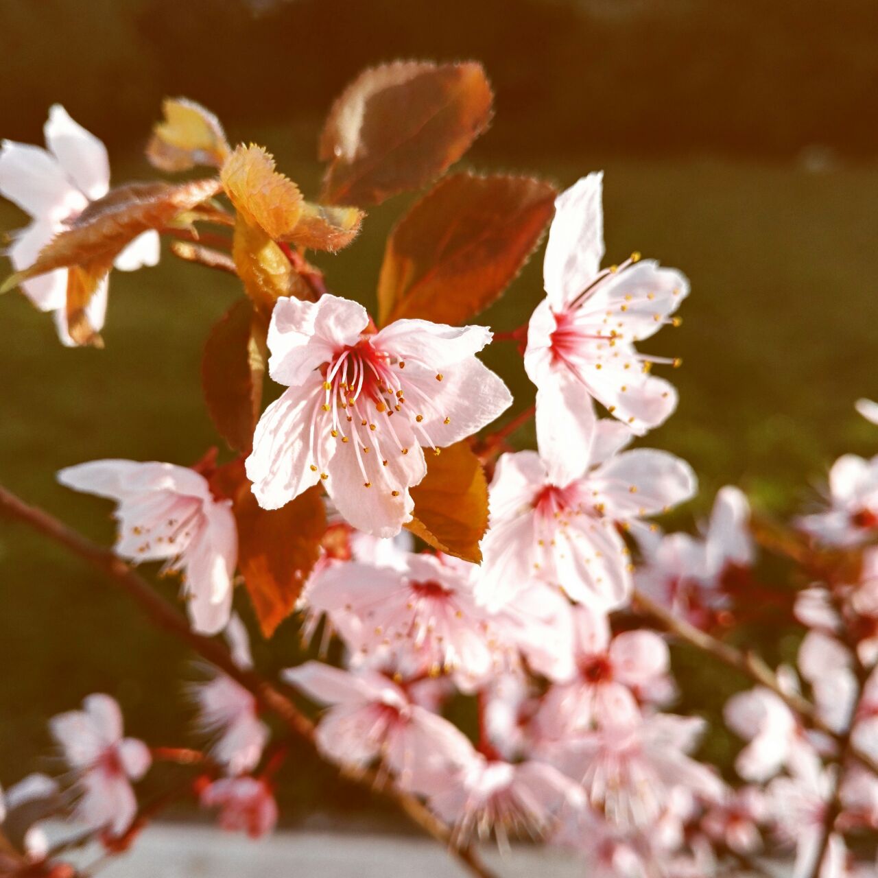 Personlicher Jahresruckblick Liebe In Worten Bildern Und Songs