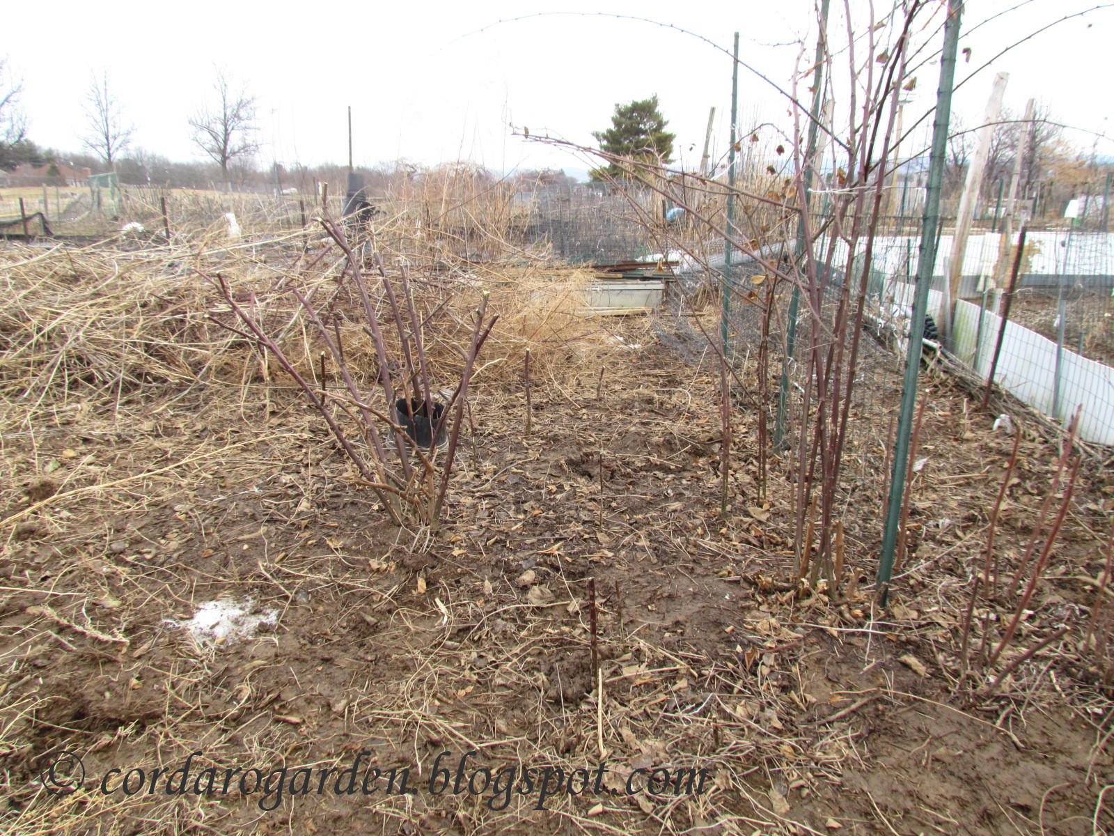 The Gardener of Eden: Clearing out the Plots