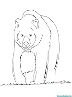 Mewarnai Gambar Beruang Kutub