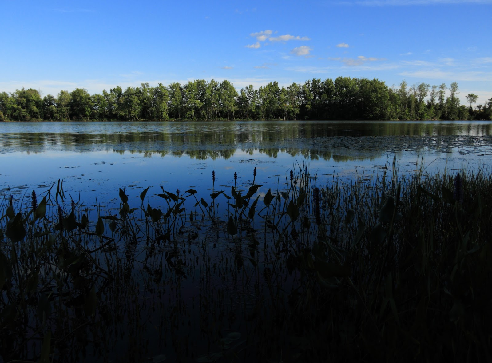 The Campsites Plaisance National Park, Quebec