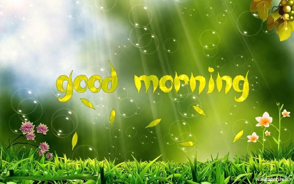 Animated Good Morning Images for Whatsapp