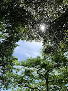 Stillness
