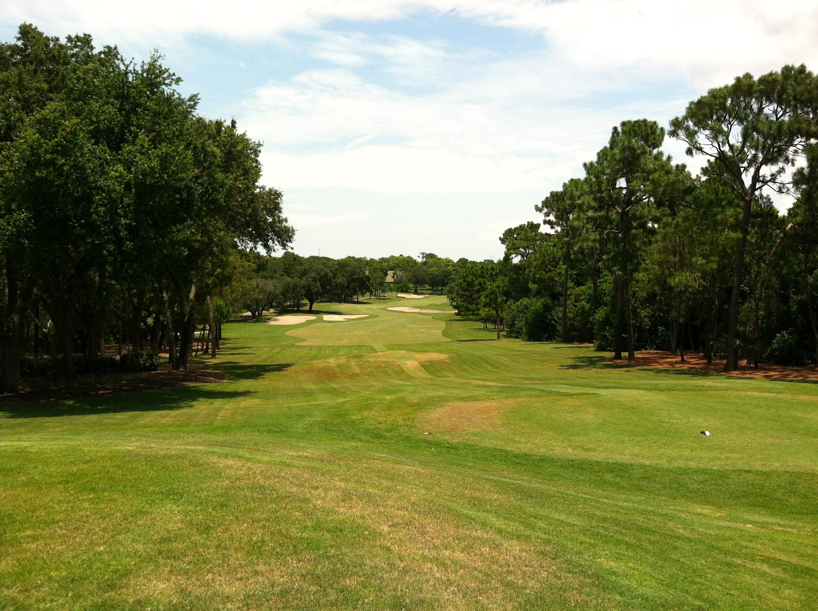 Copperhead at Innisbrook Golf Resort The World of Deej