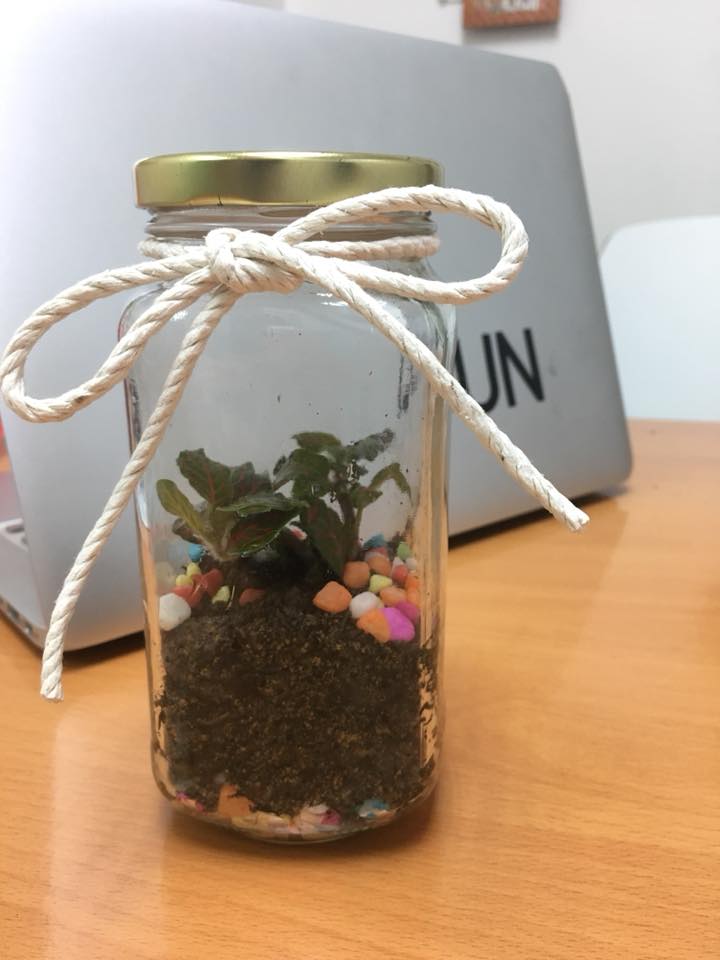 The 2 marks Terrarium Science Question ISUN Academic Coaching Tuition