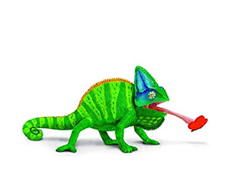 Angka Erek Erek Bunglon 2d 3d 4d Dalam Buku Mimpi