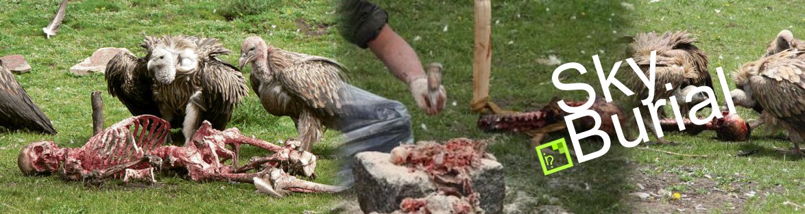 Pemakaman terekstrim didunia dimana jenazah manusia dibiarkan tergeletak untuk dimakan burung